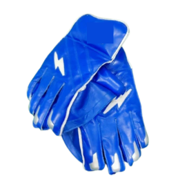 Blue Wicket Keeping Gloves