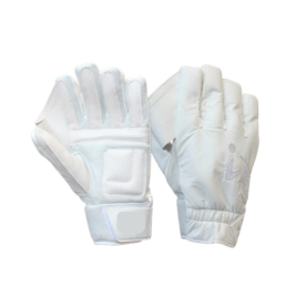 Wicket Keeping Gloves