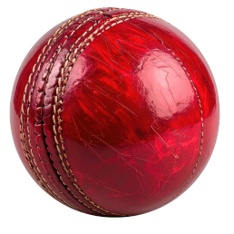 Leather cricket balls